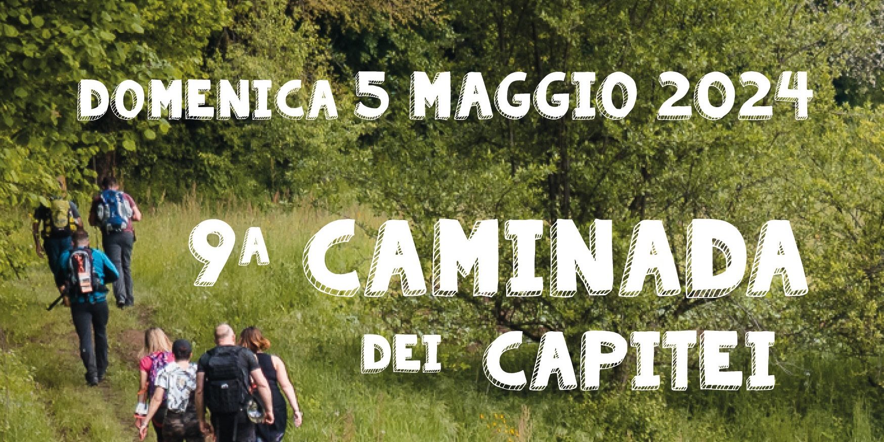 impaginato 2024_definitivo18